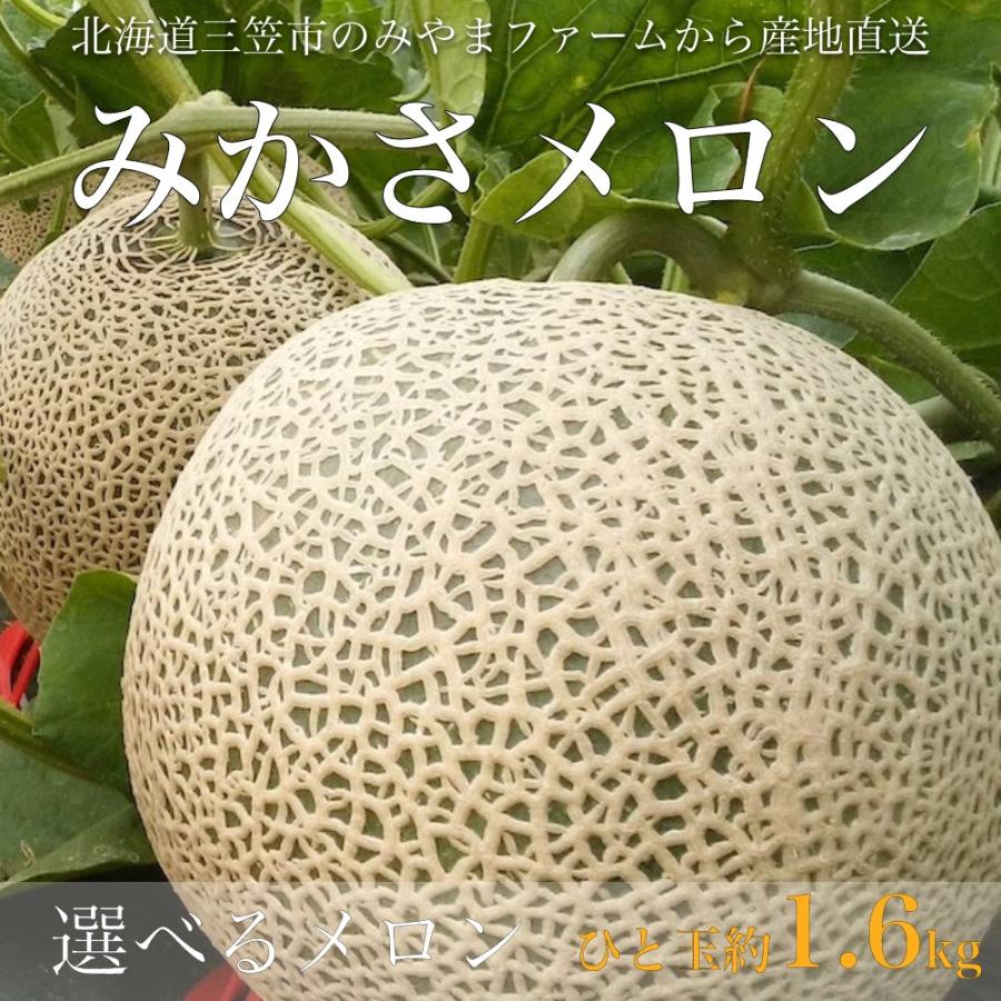 2026年終了】メロン5玉北海道三笠から産地直送(美暁・深芳）【送料無料
