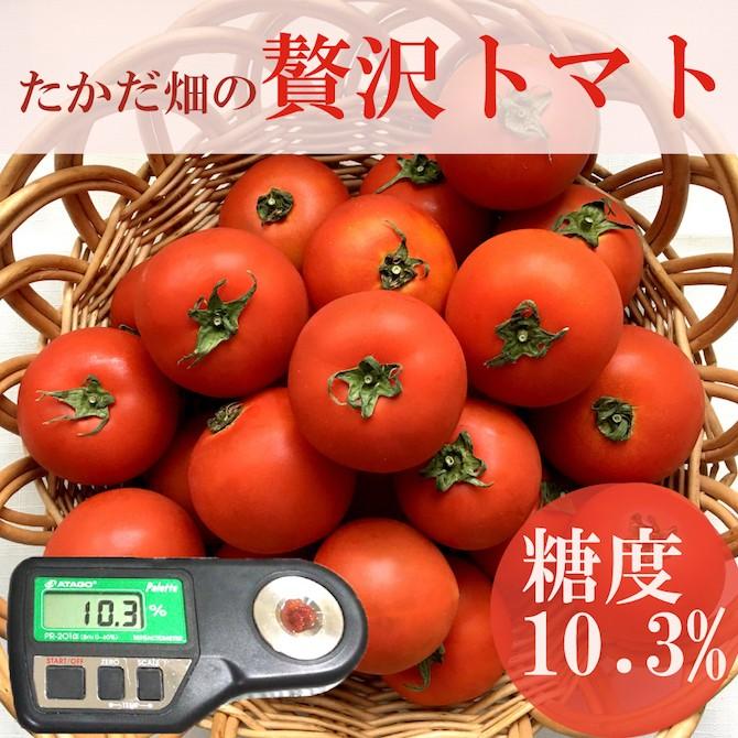 予約受付中】たかださん家の贅沢トマト1.5kg（約15~25玉）北海道比布産 