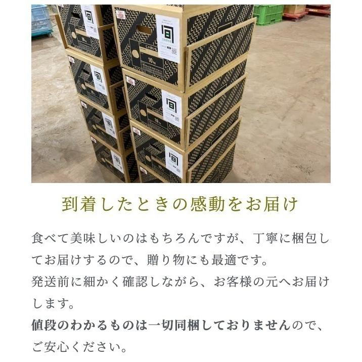 正規品タワラマゼラン10キロ北海道剣淵町産じゃがいも134329470036-N