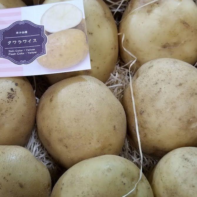 訳ありタワラワイス2キロ北海道剣淵町産じゃがいも : 北海道旬直公式