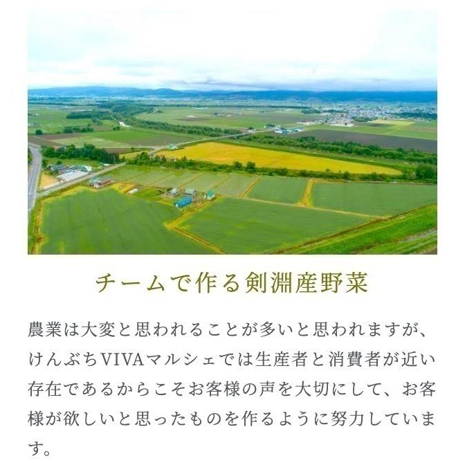 訳ありスタールビー10キロ北海道剣淵町産じゃがいも｜shun-choku｜02