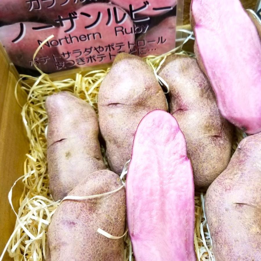 訳ありノーザンルビー2kg 北海道剣淵町産じゃがいも134329470036-N
