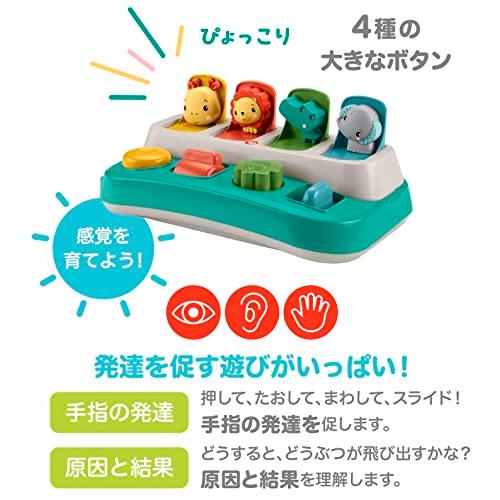 マテル(MATTEL) フィッシャープライス(fisher price) 感覚を育てよう! ボタンでぴょっこりどうぶつえん 【9ヵ月~】 HRG14｜shunicolle｜04