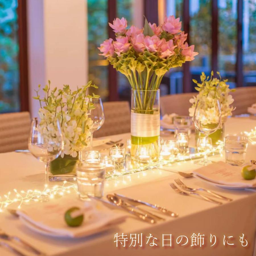 イルミネーションライト ソーラーライト 屋外 枝 8パターン点灯 防水 200LED 6m クリスマス ハロウィン ストレート 防雨 防水 飾り 装飾 ストリングライト |  | 13