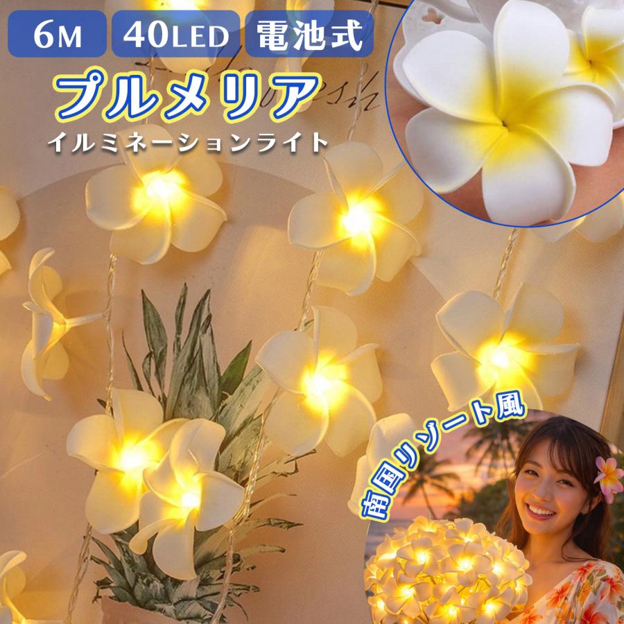 プルメリア イルミネーションライト 6m 40LED 電池式 IP65防水 常時