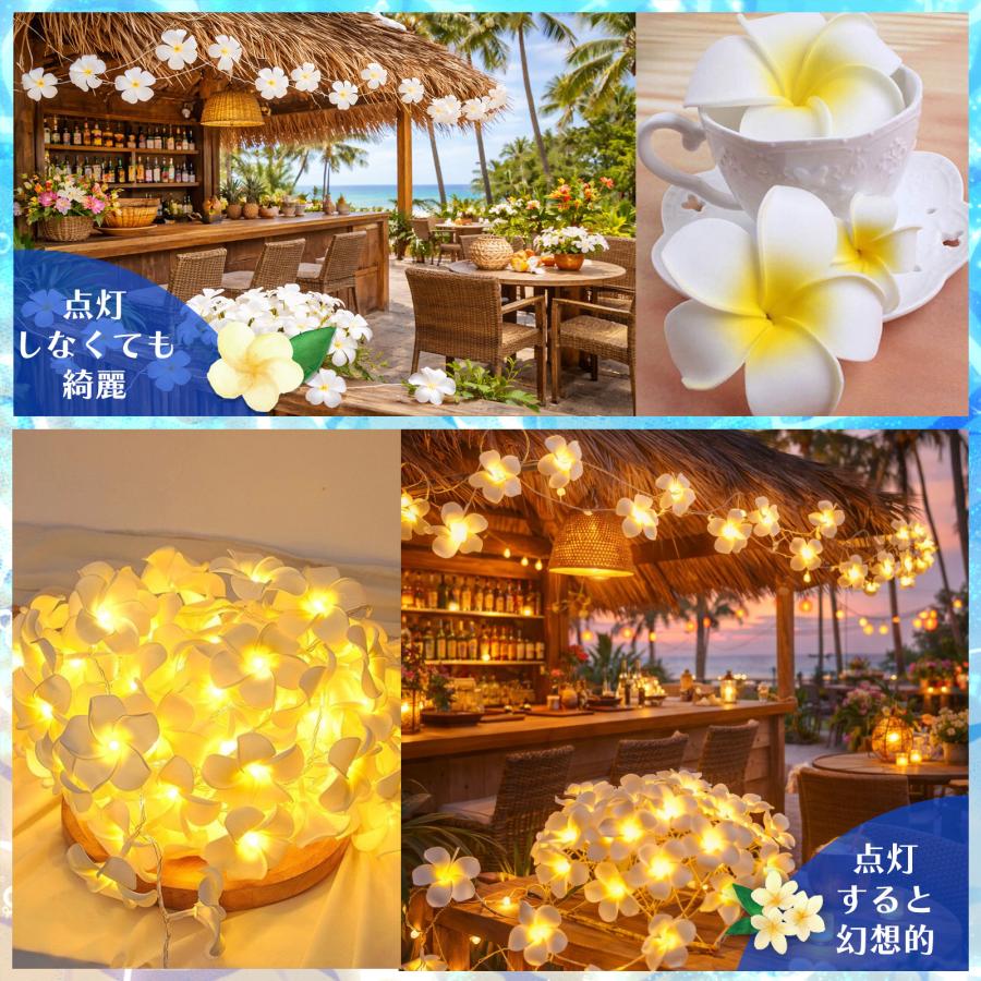 プルメリア イルミネーションライト 6m 40LED 電池式 IP65防水 常時 