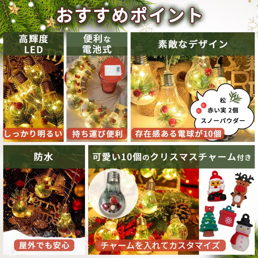 スノードーム イルミネーションライト 電球型 10LED 2m 電池式