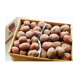 インカルージュ10kg 北海道産 皮が赤いじゃがいも Y 春夏秋菜 杉本農産 通販 Yahoo ショッピング