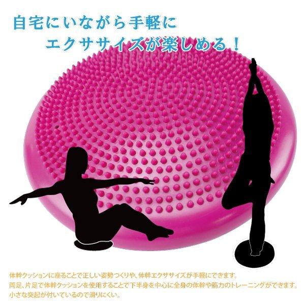 「正規品shakti 」バランスエクササイズ用具 体幹クッション ストレッチ ながら トレーニング バランスディスク