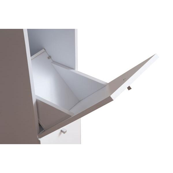 キッチン ゴミ箱 スリム 収納 棚 分別 2段 縦型 ダストボックス