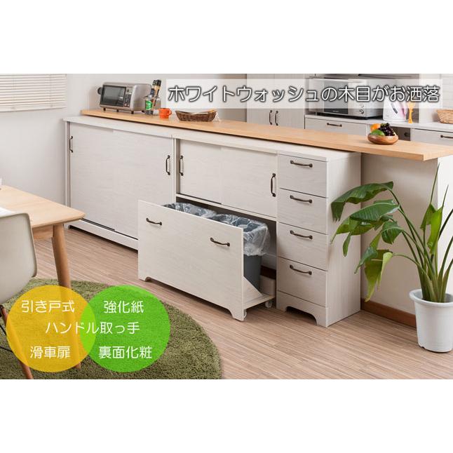 ゴミ箱 ダストボックス カウンター下収納 キャスター付き 2分別 扉収納