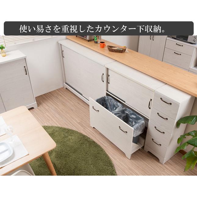 ゴミ箱 ダストボックス カウンター下収納 キャスター付き 2分別 扉収納