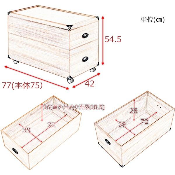 衣装ケース 衣類 収納 桐 2段 押入れ収納 クローゼット収納 完成品
