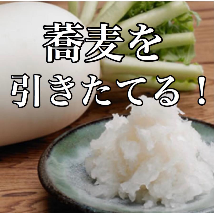 そば、うどんの薬味に！群馬県産 上州辛味大根12本セット 送料無料