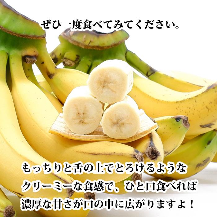 全国送料無料】沖縄県産バナナ グロスミッチェル【幻のバナナ】4kg