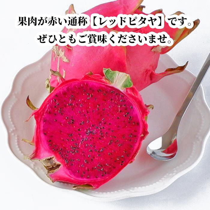 全国送料無料】沖縄県産ドラゴンフルーツ(赤) 1kg(2〜4玉) 新鮮直送
