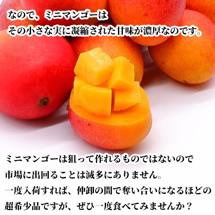 【送料無料・即発送可】沖縄県産ミニマンゴー2kg　新鮮直送_4