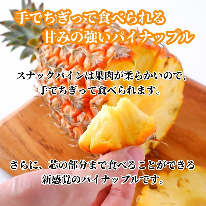 送料無料・即発送可】沖縄県産スナックパイン＆ピーチパイン食べ比べ