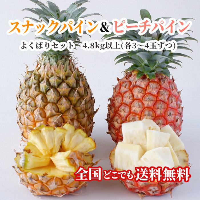【貨物輸送無料・即送りとどける可】沖縄県産赤ちょうちんパイン＆桃パインよくばり仕掛ける4.8kg以上(各3〜4玉ずつ) 耳あたらしい直送 フルーツ-パイナップル-食品
