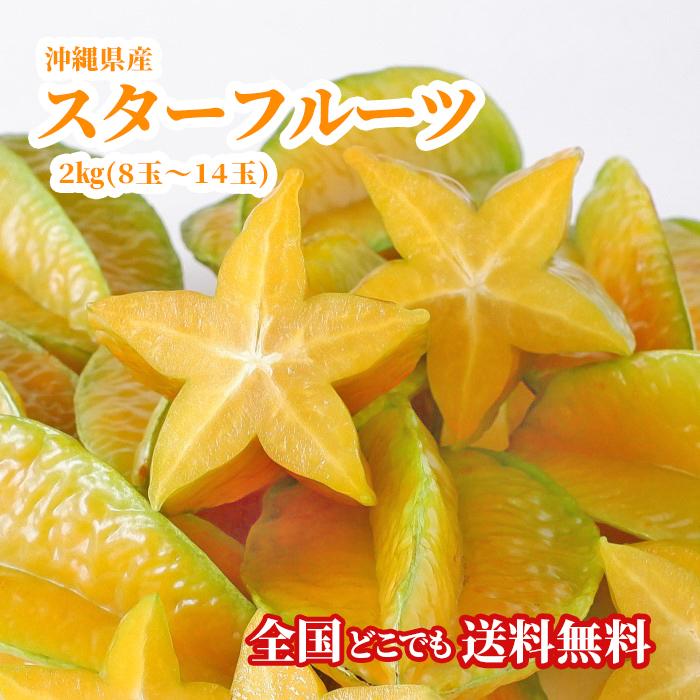送料無料・即発送可】沖縄県産スターフルーツ2kg(8玉〜14玉) 新鮮直送