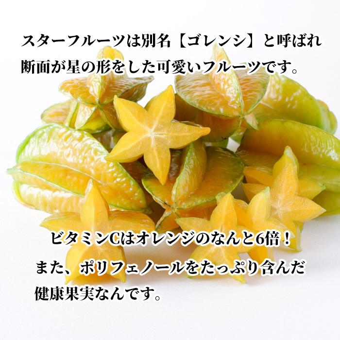 送料無料・即発送可】沖縄県産スターフルーツ2kg(8玉〜14玉) 新鮮直送