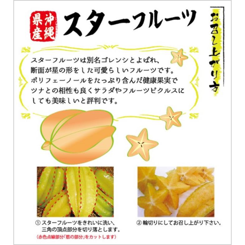 送料無料・即発送可】沖縄県産スターフルーツ2kg(8玉〜14玉) 新鮮直送