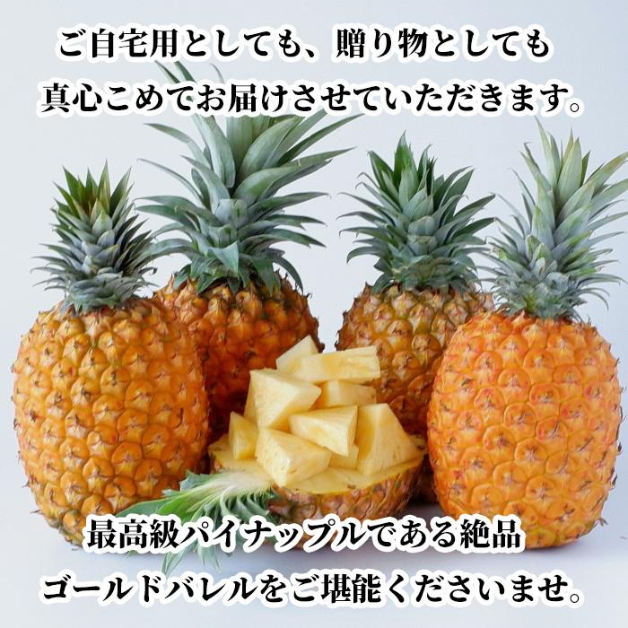 沖縄県産ゴールドバレル (国産最高級パイナップル) 3.3kg以上(2〜4玉)【送料無料・即出荷可】 新鮮直送_6