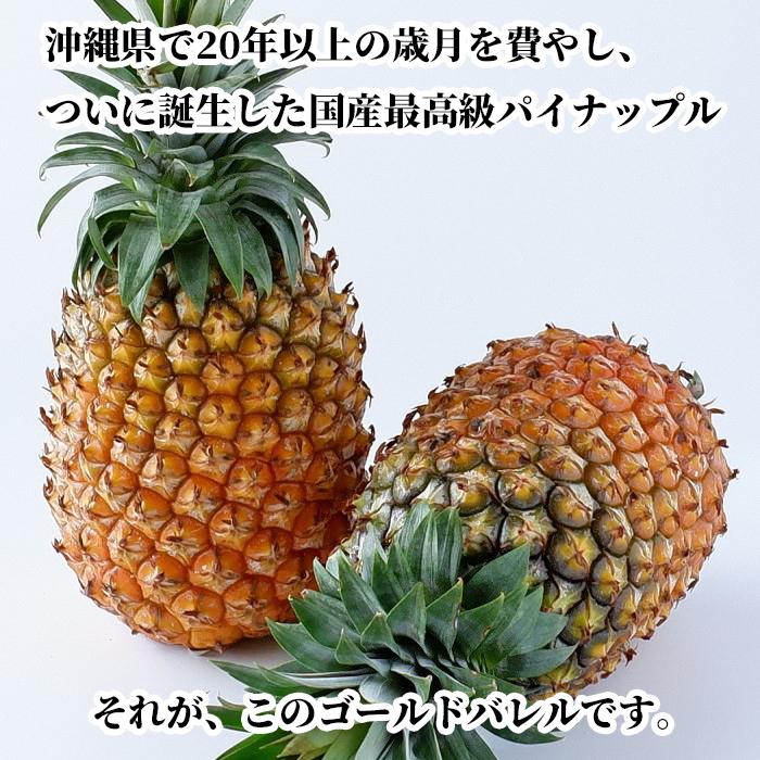 沖縄県産【訳あり】ゴールドバレル (国産最高級パイナップル) 3.2kg以上(2〜4玉)【送料無料・即出荷可】 新鮮直送 |  | 03