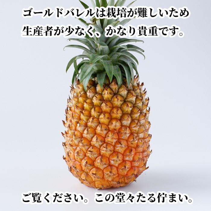 沖縄県産【訳あり】ゴールドバレル (国産最高級パイナップル) 3.2kg以上(2〜4玉)【送料無料・即出荷可】 新鮮直送 |  | 04