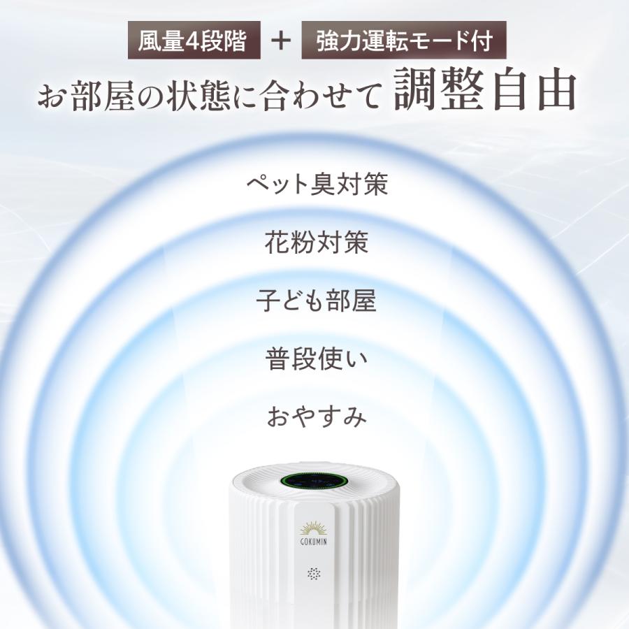 GOKUMIN ゴクミン 空気清浄機 交換用フィルター単品 4層フィルター