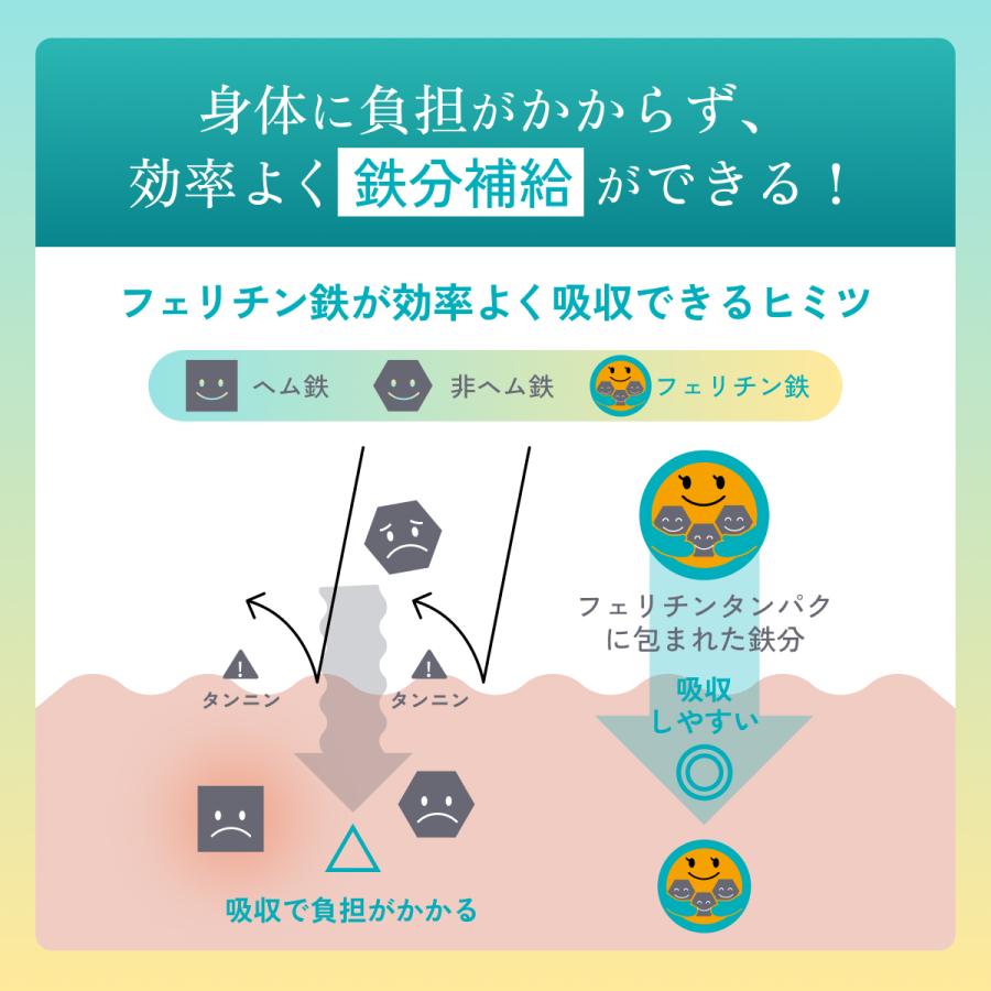 モリケンショウ プロポリス、ヘム鉄、β500 3点セット ヘム鉄X | タケダ