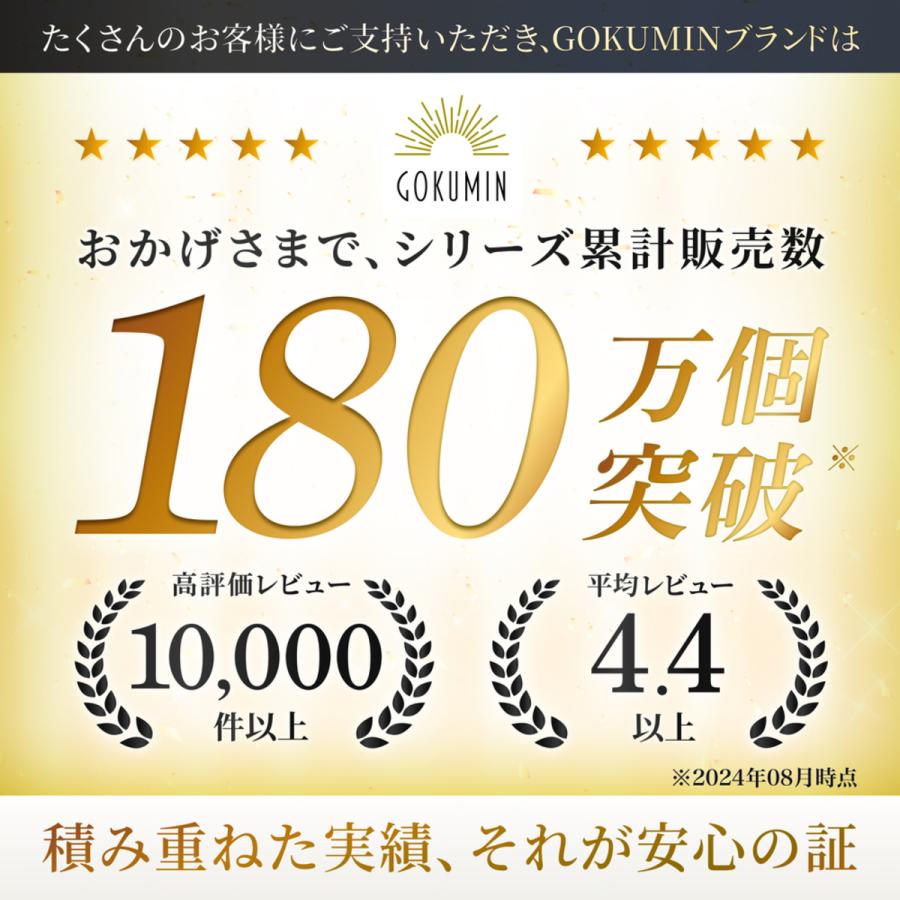 GOKUMIN マットレス セミシングル プレミアム スプリング GOKUMIN マットレス セミシングル プレミアム スプリング