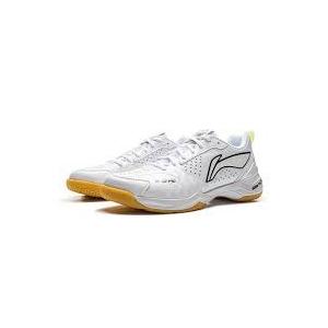LI-NING リーニン バドミントン シューズ LI-NING AYZV001 2026年