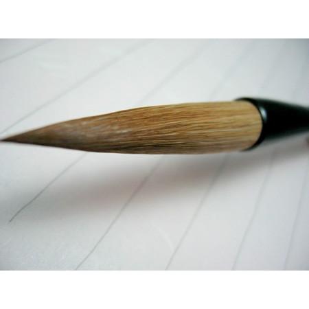 書道筆 太筆 雲仙(天尾毛) 【大阪 朱陽堂謹製】 - 伝統工芸士作 : 筆匠