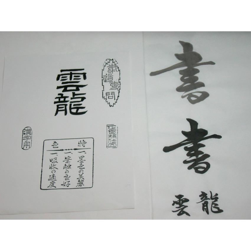 半紙 / 書道半紙 雲龍100枚入【漢字用】 : 筆匠 朱陽堂 - 通販 - Yahoo