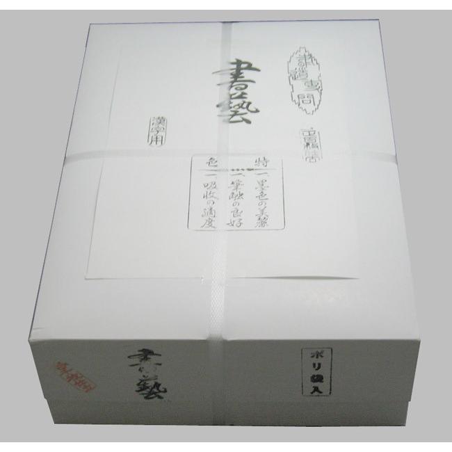 半紙 / 書道半紙 書芸1000枚 【漢字用】 100枚P×10パック : 筆匠