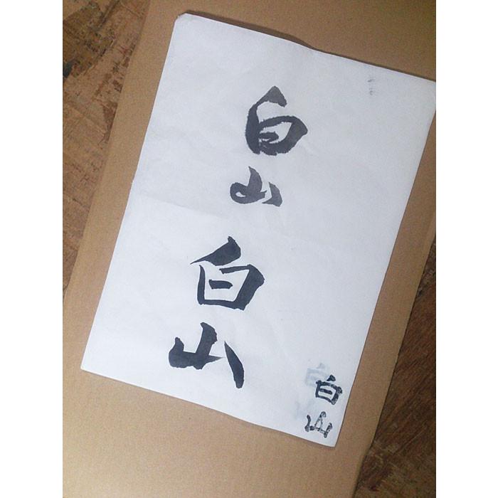 書道 半紙 書道半紙 – 株式会社 沢井