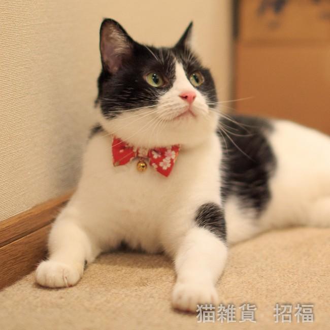 猫 首輪 シュシュ リボン 蝶ネクタイ 和柄 マジックテープ仕様 1 002 猫雑貨 招福 通販 Yahoo ショッピング