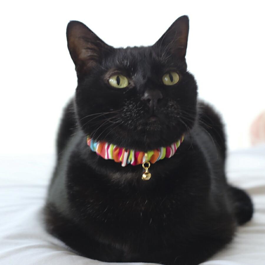 猫 首輪 シュシュ おしゃれ 子猫 鈴 安全 コットン ハゲにくい