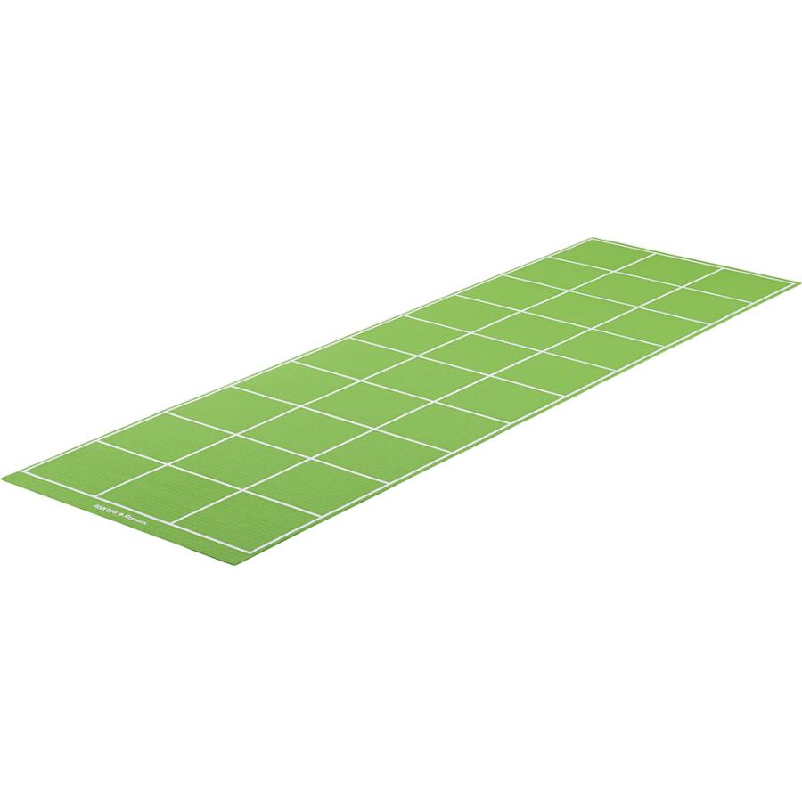 ダンノ DANNO ラダーシートDX トレーニングラダー はしご 子供 キッズ 大人 安全 瞬発力 運動神経 トレーニング 体育 部活 アップ サッカー バスケ 野球  D7216 DANNO（ダンノ） ラダーシートDX トレーニングラダー はしご 子供