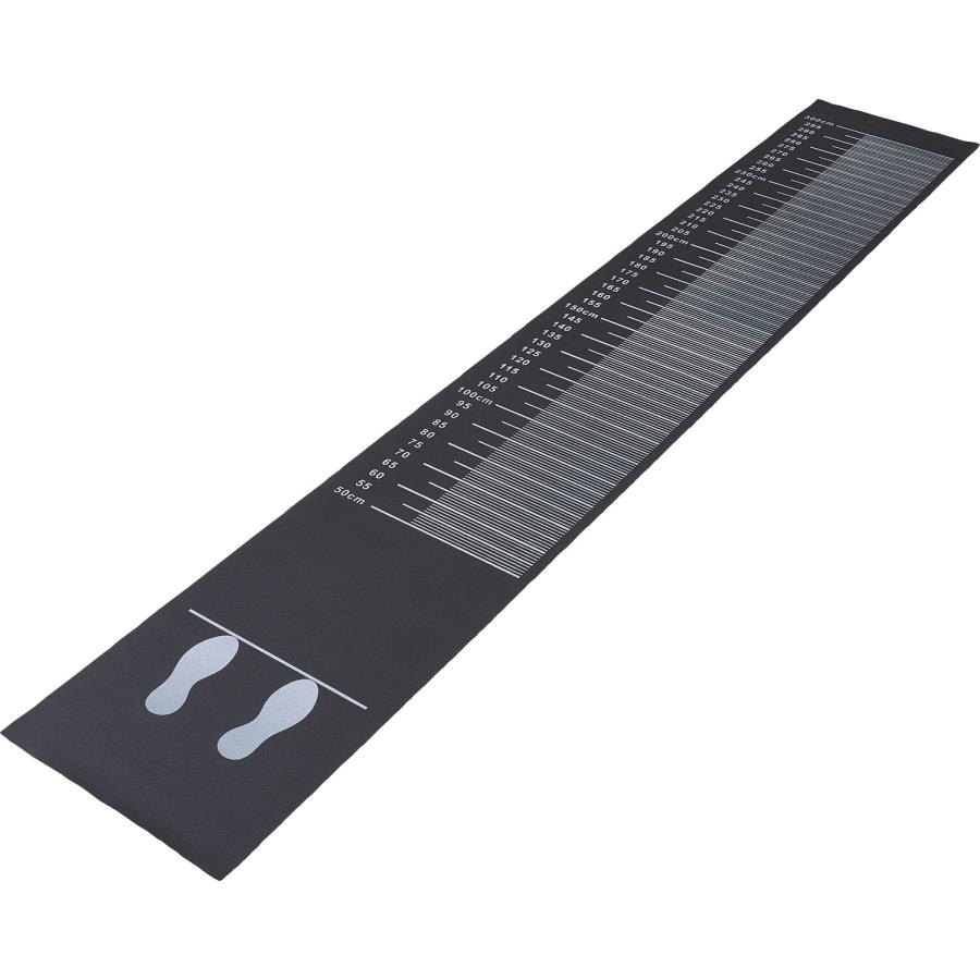 DANNO（ダンノ） ジャンプマットII 立ち幅跳び 立ち幅飛び 立ち幅飛び