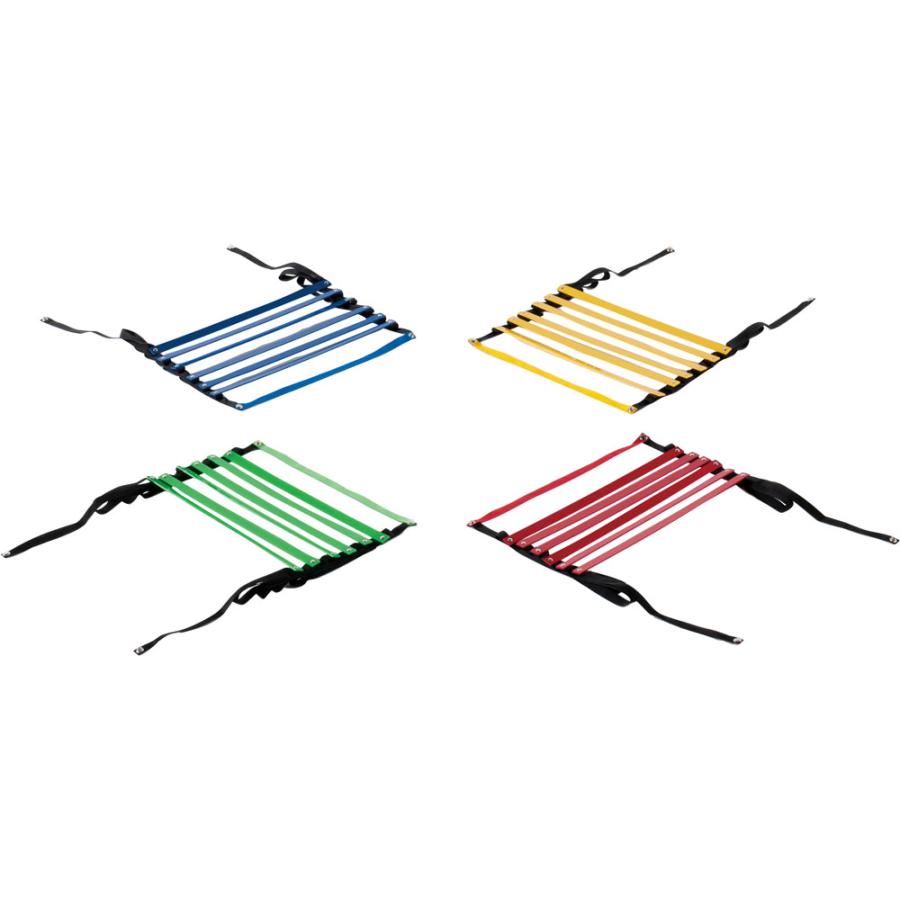 エバニュー Evernew 4色マルチラダーロープ 学校体育 体育 部活 授業 クラブ チーム ラダー トレーニング 体幹 基礎トレ ETE063 EVERNEW（エバニュー） Evernew 4色マルチラダーロープ 学校体育 体育