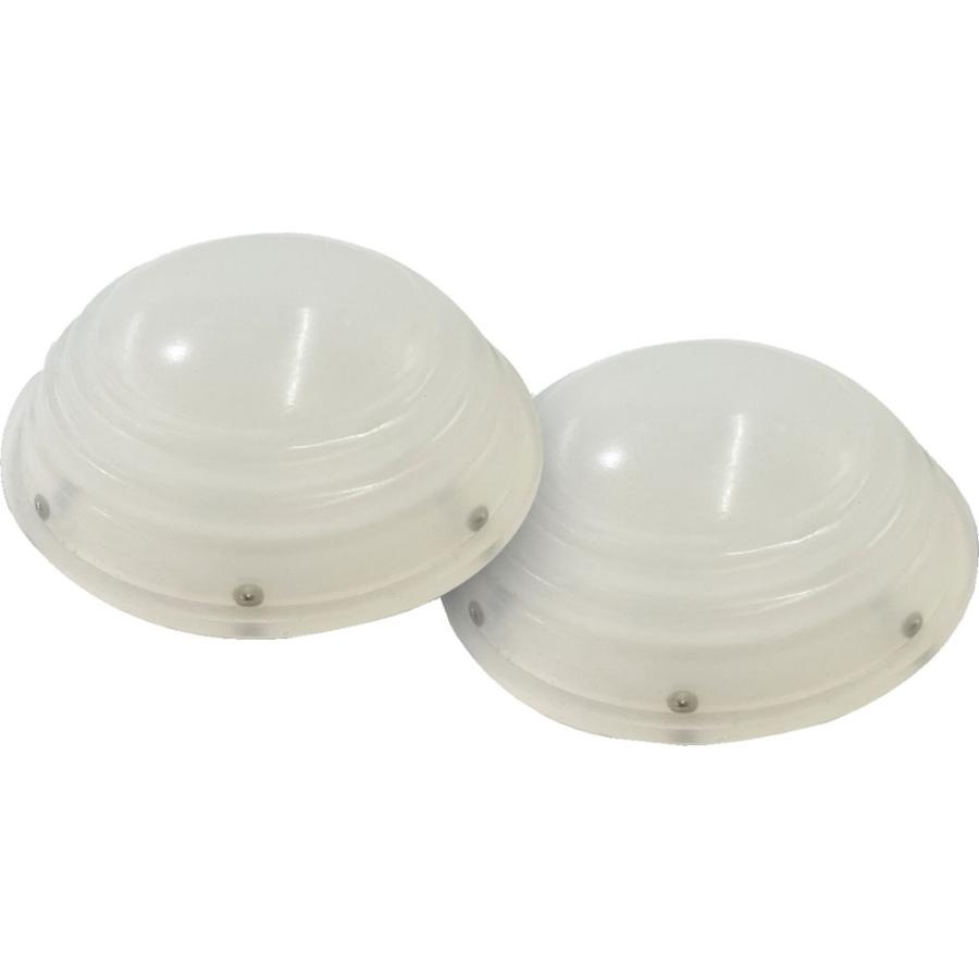 アクティバイタル Activital 解脱玉 2個入り リカバリーボール げだつ