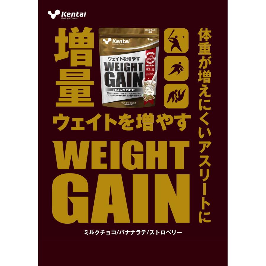 Kentai ケンタイ ウェイトゲイン アドバンス ミルクチョコ風味 1kg
