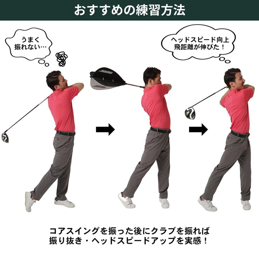 タバタゴルフ Tabata GOLF 藤田コアスイング スイング 練習 用品 練習 