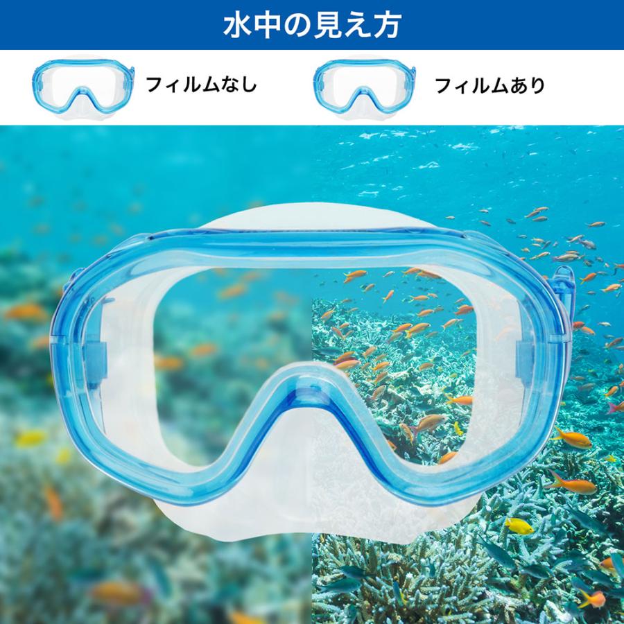 ReefTourer リーフツアラー 水中マスク用度付セット RA0509 LGY｜shz-yah｜06