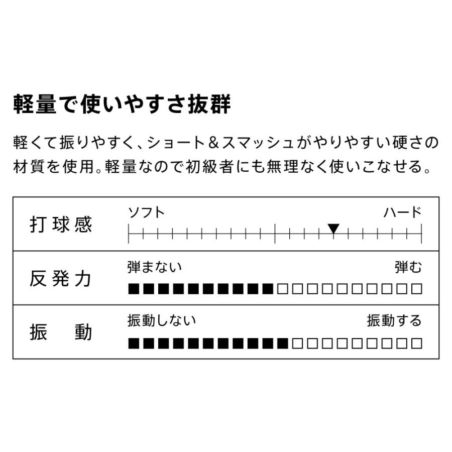 VICTAS（ヴィクタス） スリーク SLEEK 攻撃用 日本式ペン ペンホルダー