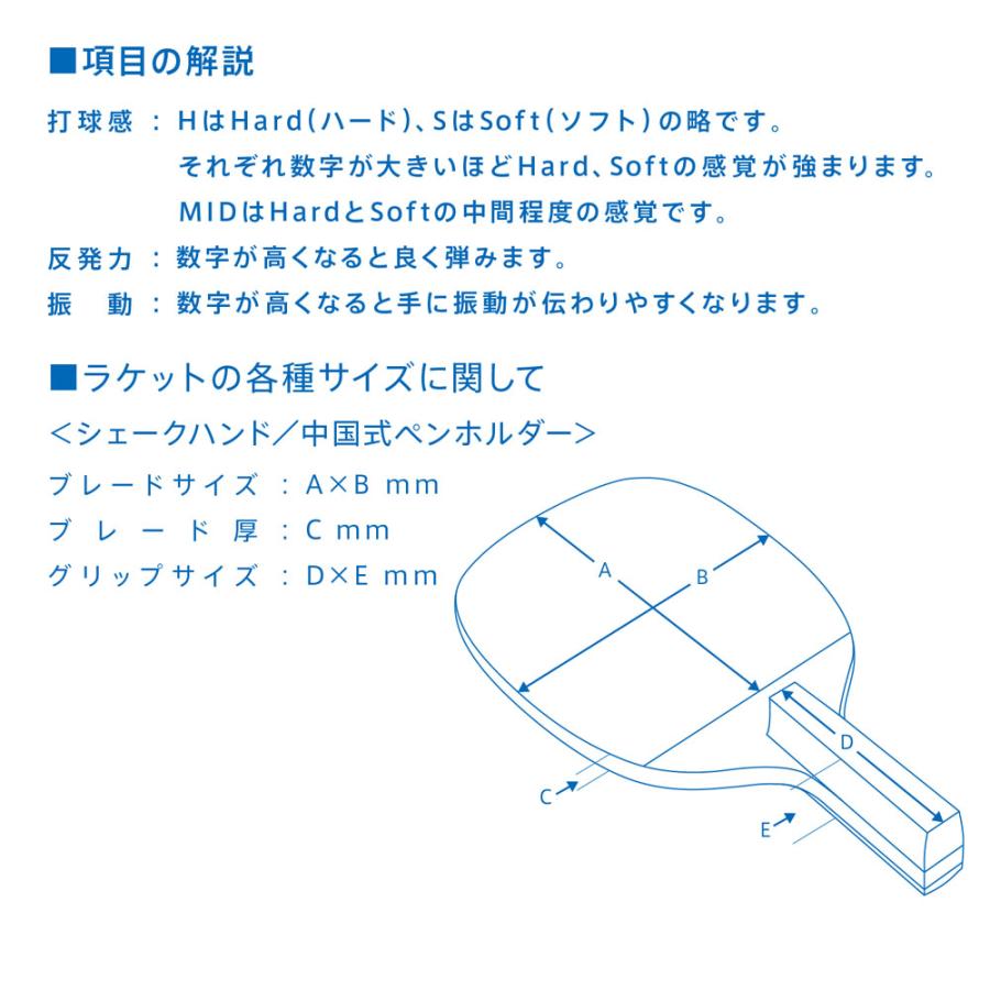 ヴィクタス VICTAS DYNAM 9.0 ダイナム 9.0 300051_3