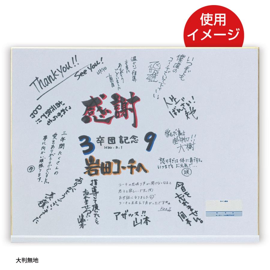 UNIX（ユニックス） サイン色紙 横書き大判サイズ 無地 記念品