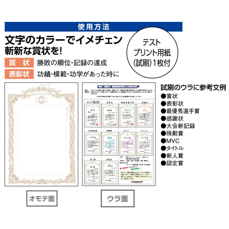 ユニックス UNIX 種目別賞状用紙 ソフトボール 賞状 A4 10枚 テスト